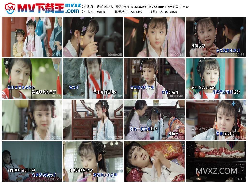 边晰-葬花人_国语_流行_MD205266